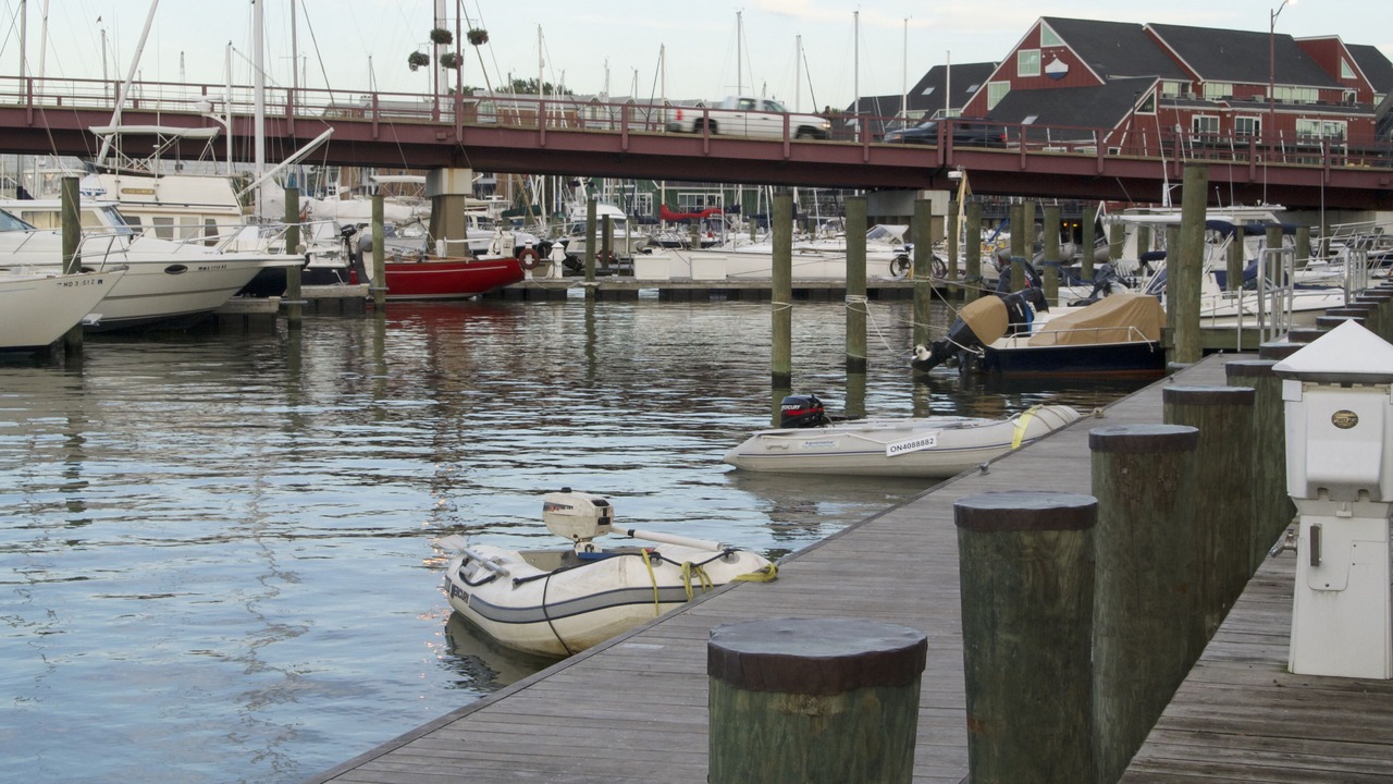 Photo of Others in Eastport
