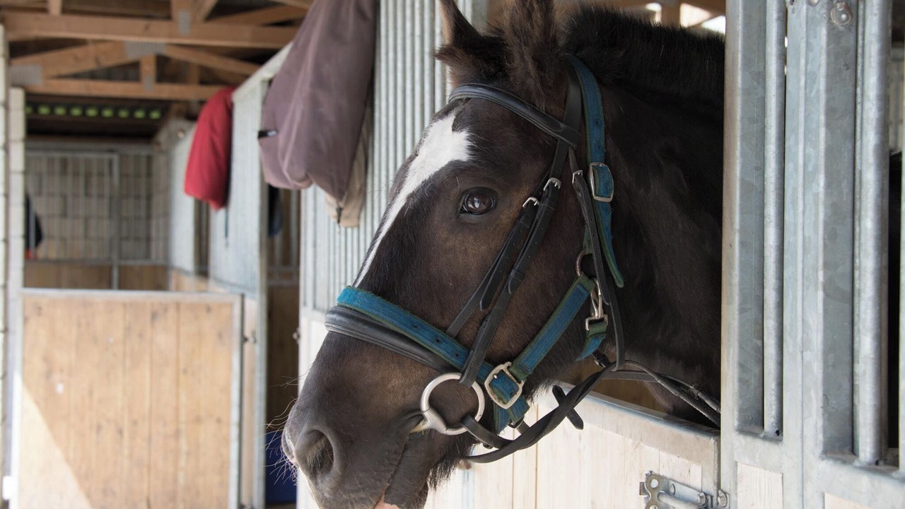 Photo of Others in Saint Breward