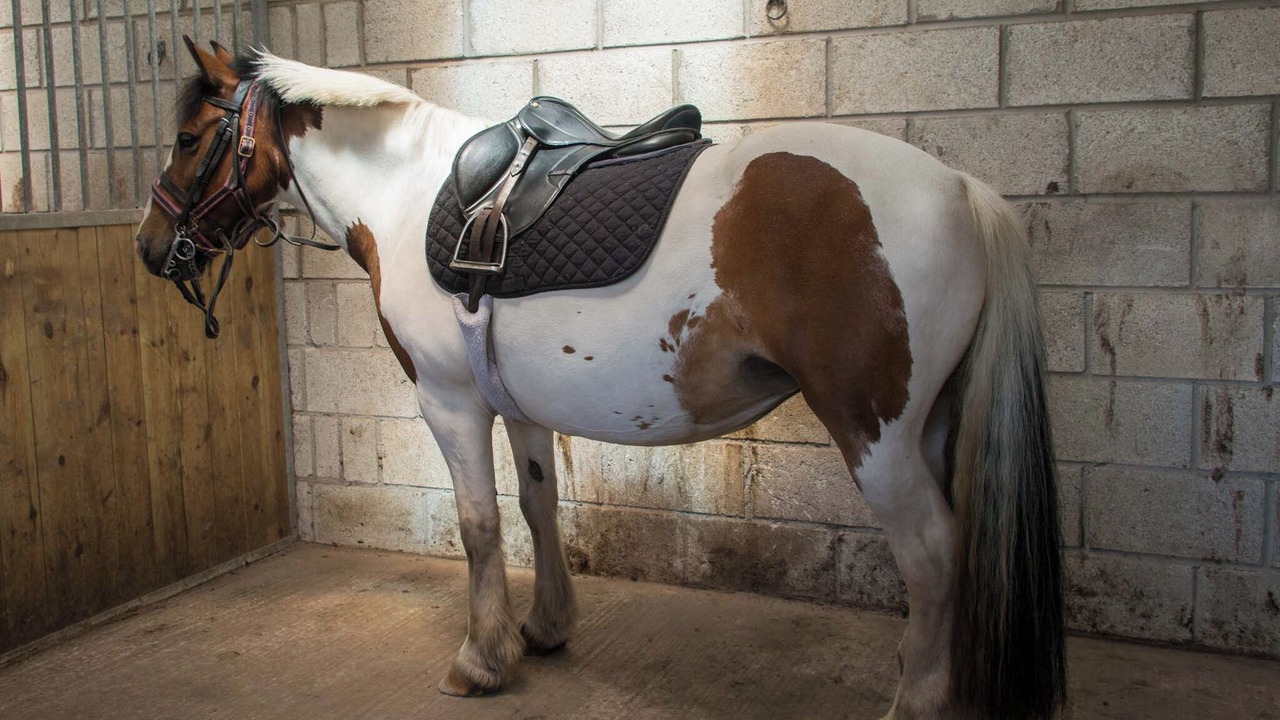 Photo of Others in Saint Breward