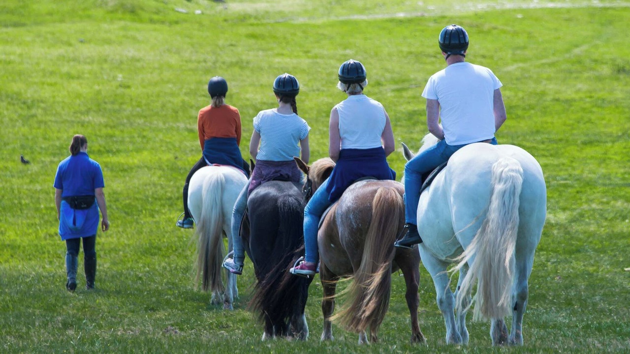 Photo of Outdoor in Saint Breward