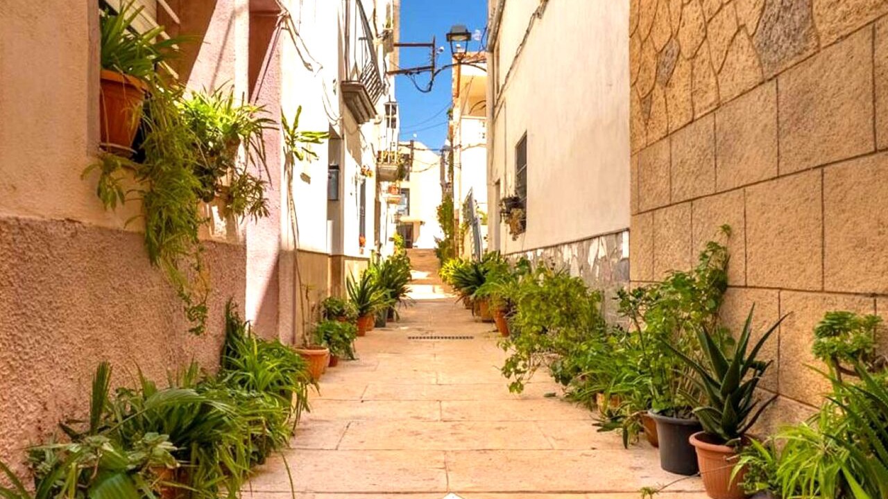 Photo of Outdoor in Amposta