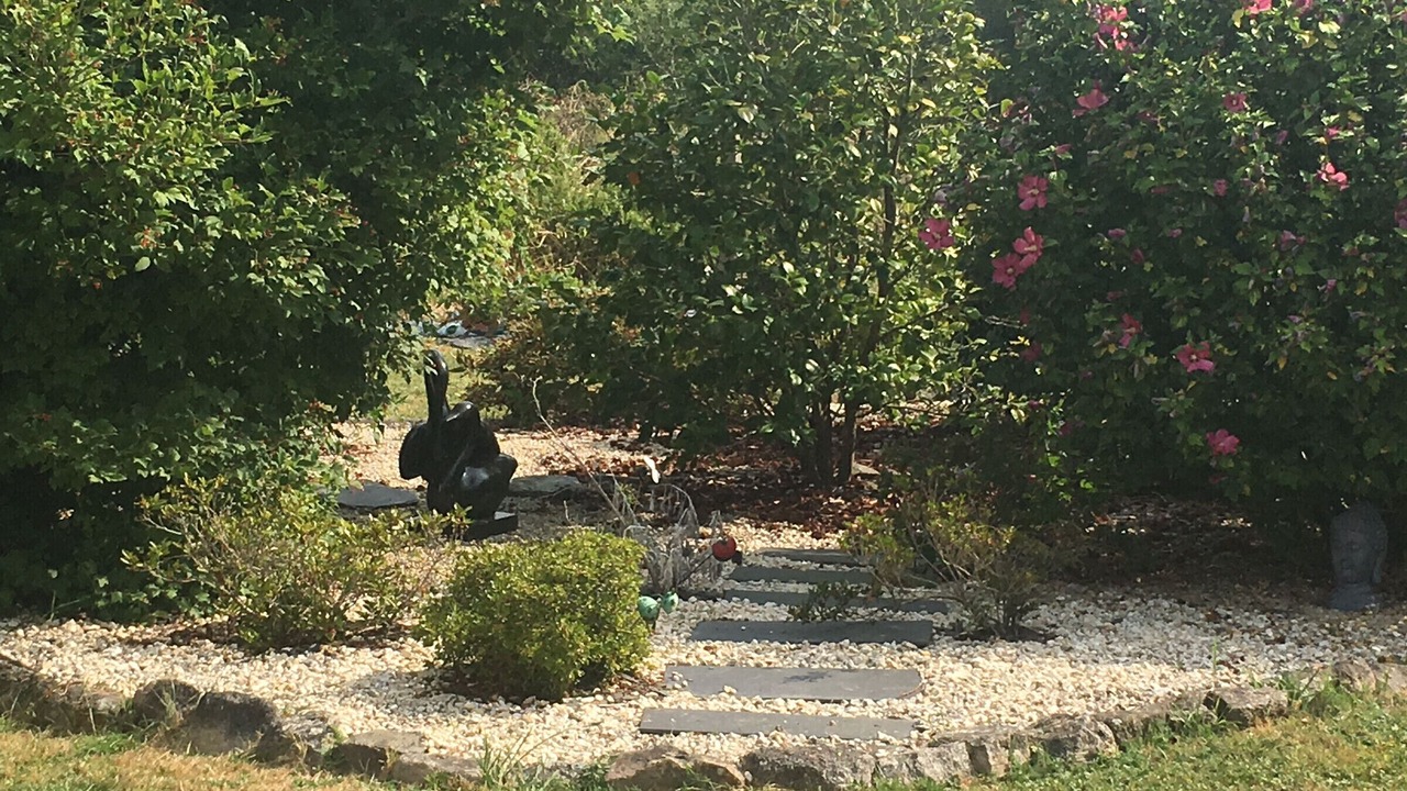 Photo of Outdoor in Saint-Molf