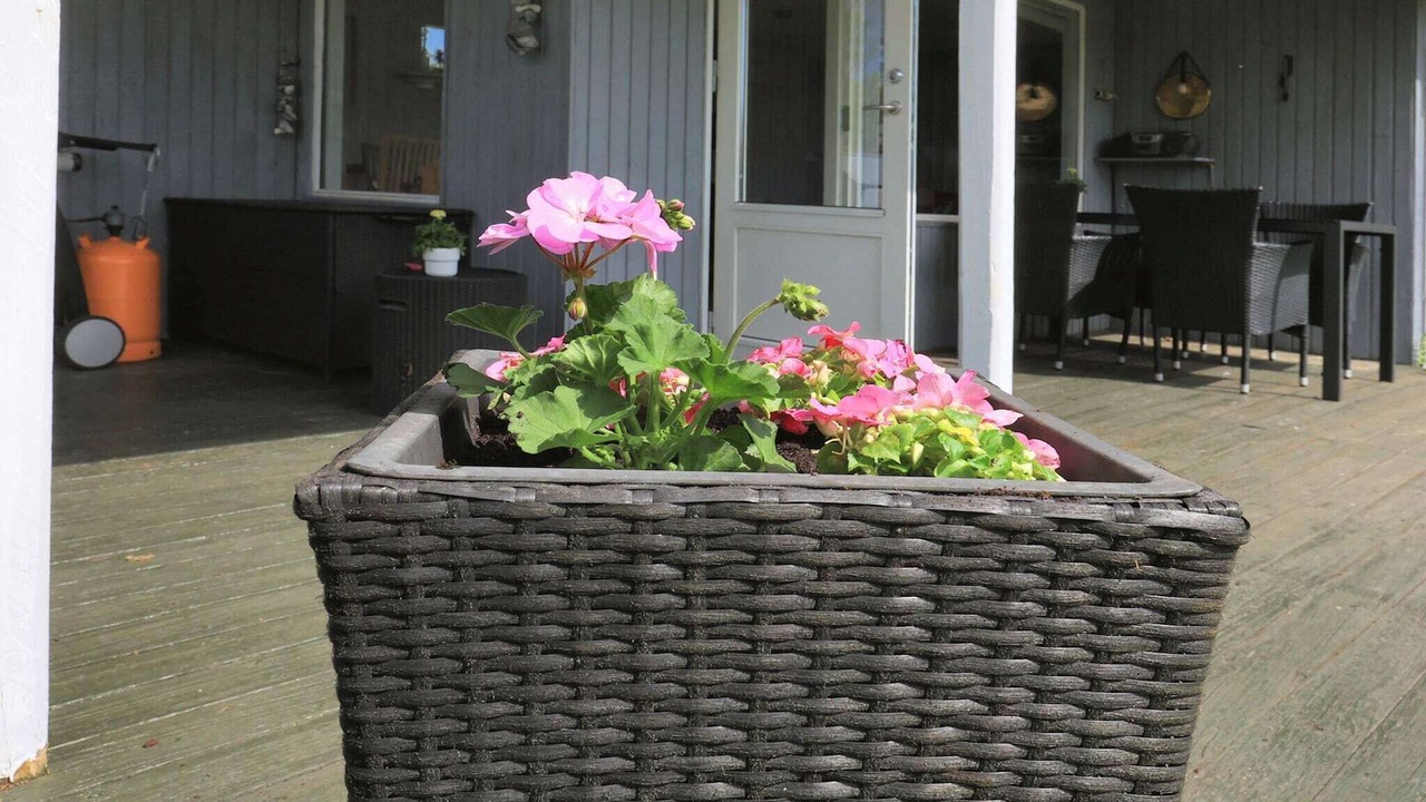 Photo of Patio Balcony in Hou