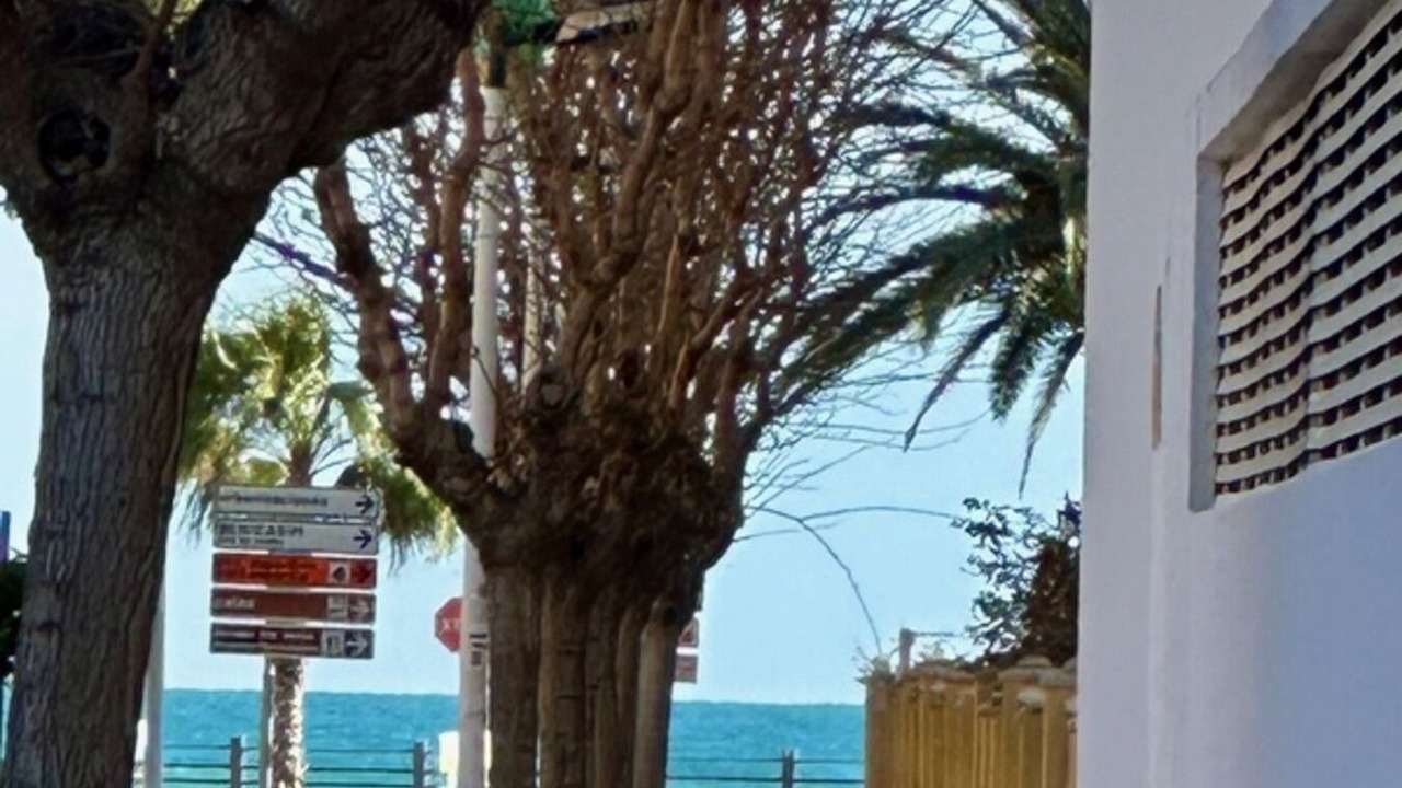 Photo of Outdoor in Oropesa del Mar