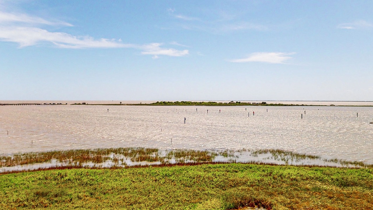 Photo of Outdoor in Rockport