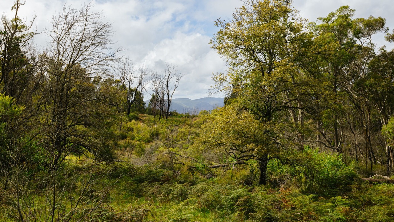 Photo of Others in Blackheath
