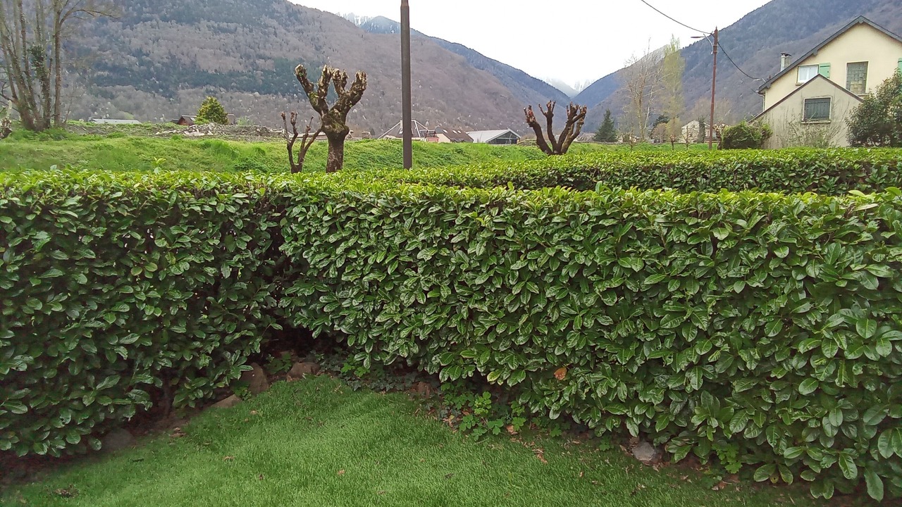 Photo of Outdoor in Bagneres-de-Luchon