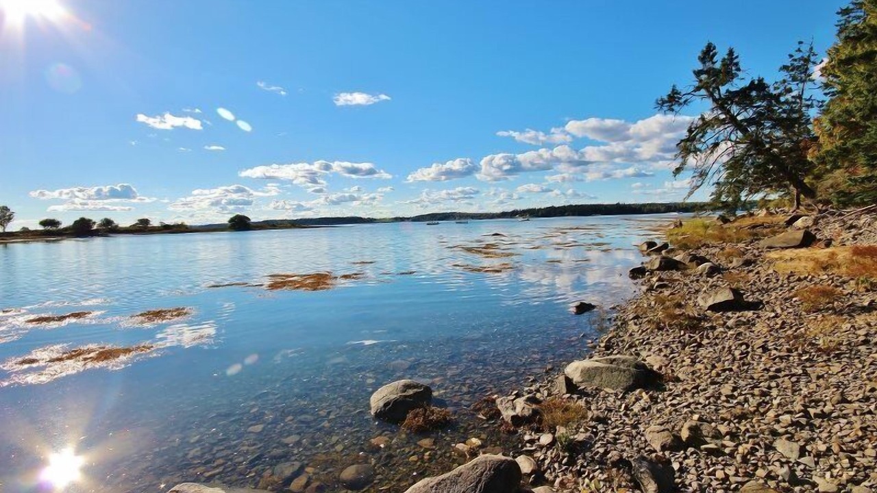 Photo of Others in Tenants Harbor