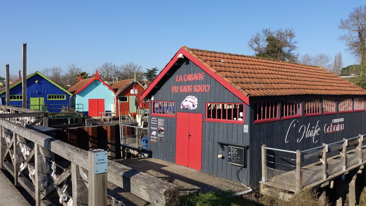 Photo of Others in Domino