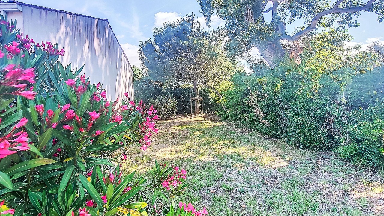 Photo of Others in Domino