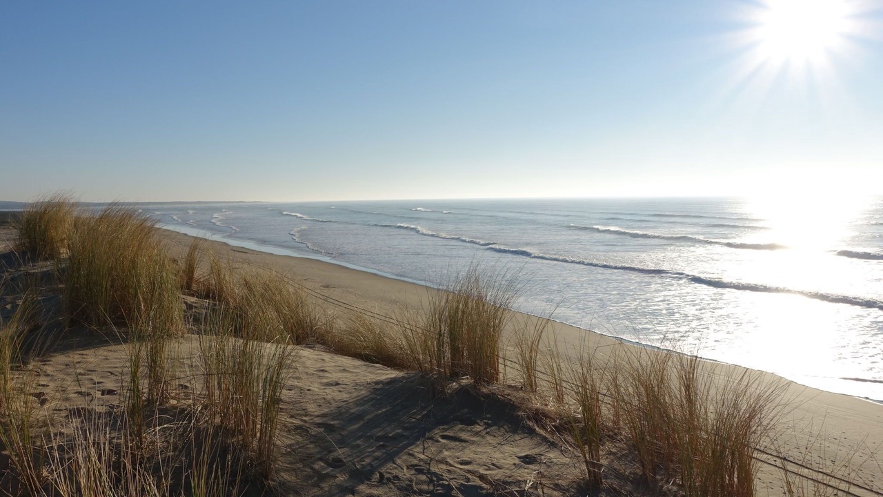 Photo of Others in Domino