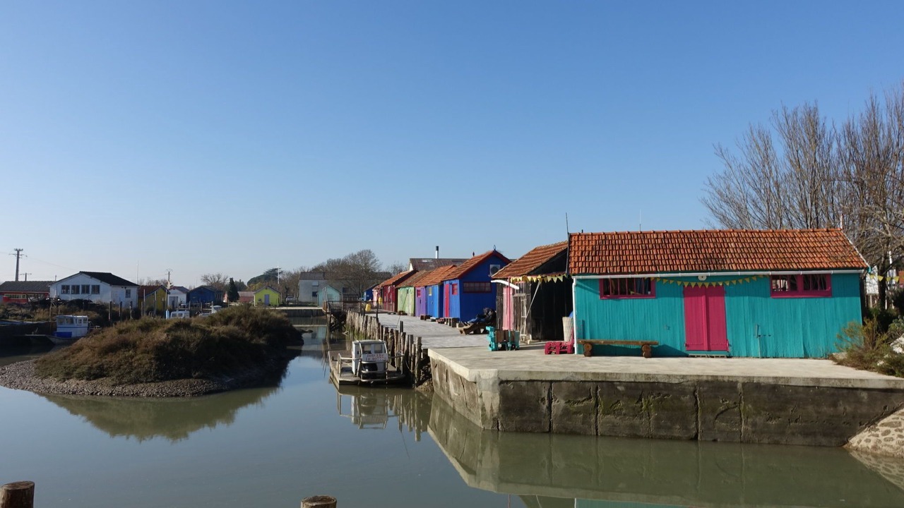 Photo of Others in Domino