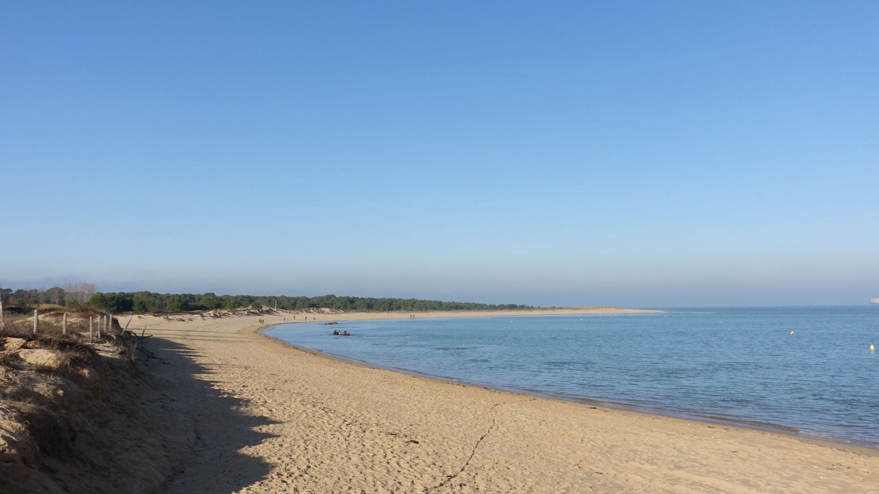 Photo of Others in Domino