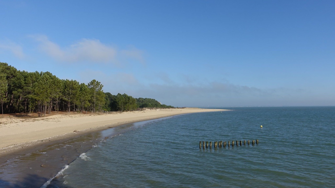 Photo of Others in Domino