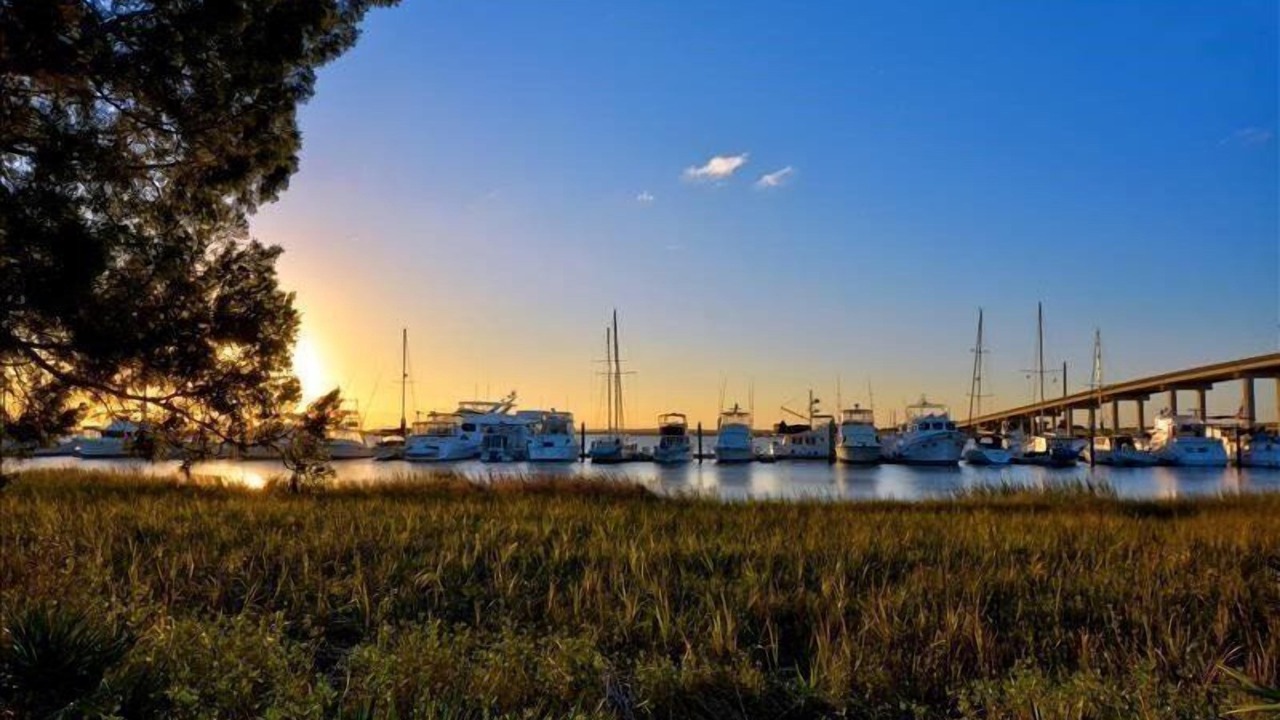 Photo of Others in Jekyll Island
