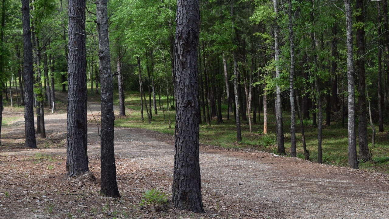 Photo of Others in Broken Bow