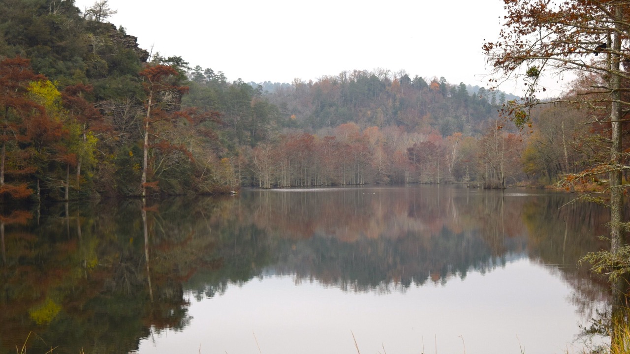 Photo of Others in Broken Bow