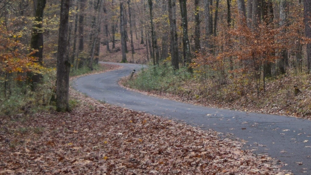 Photo of Others in Broken Bow