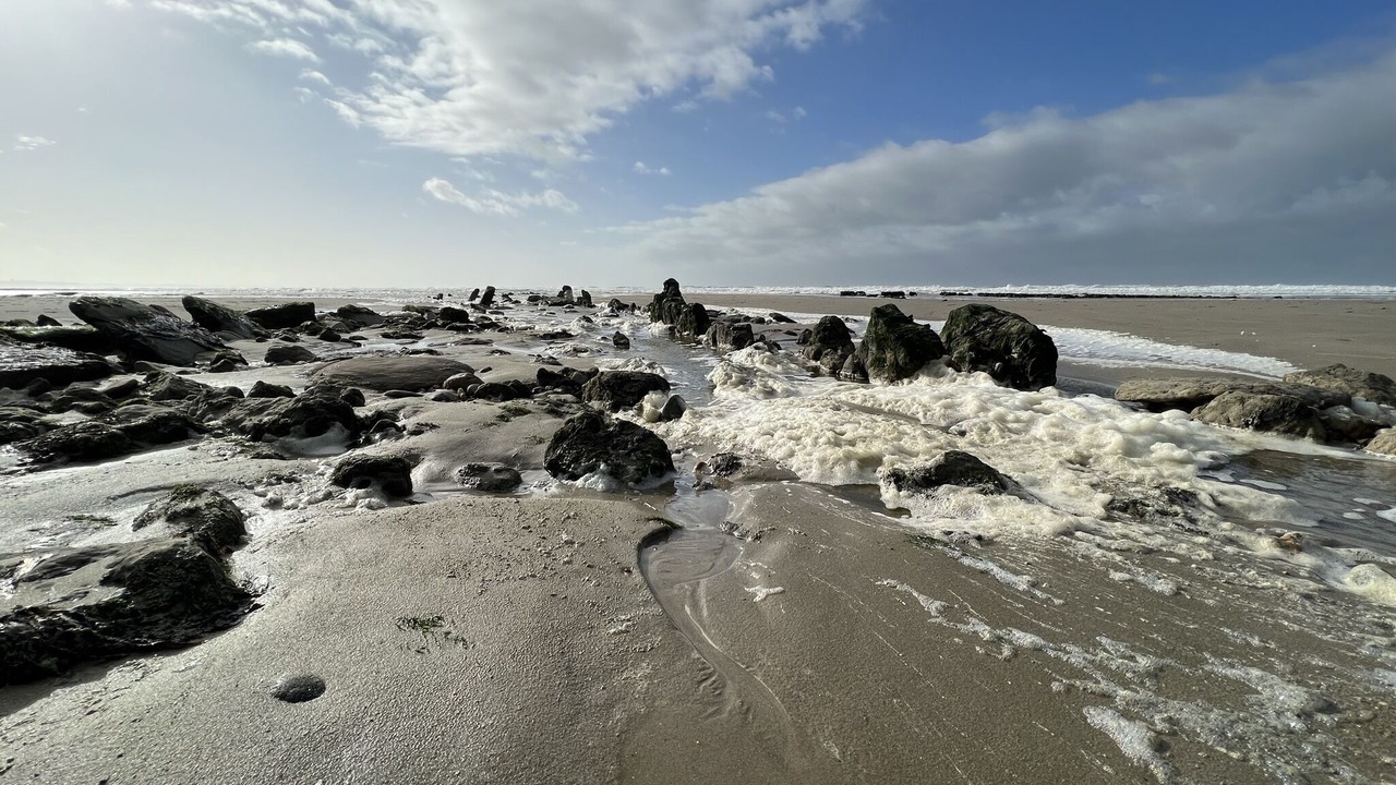 Photo of Others in Audresselles