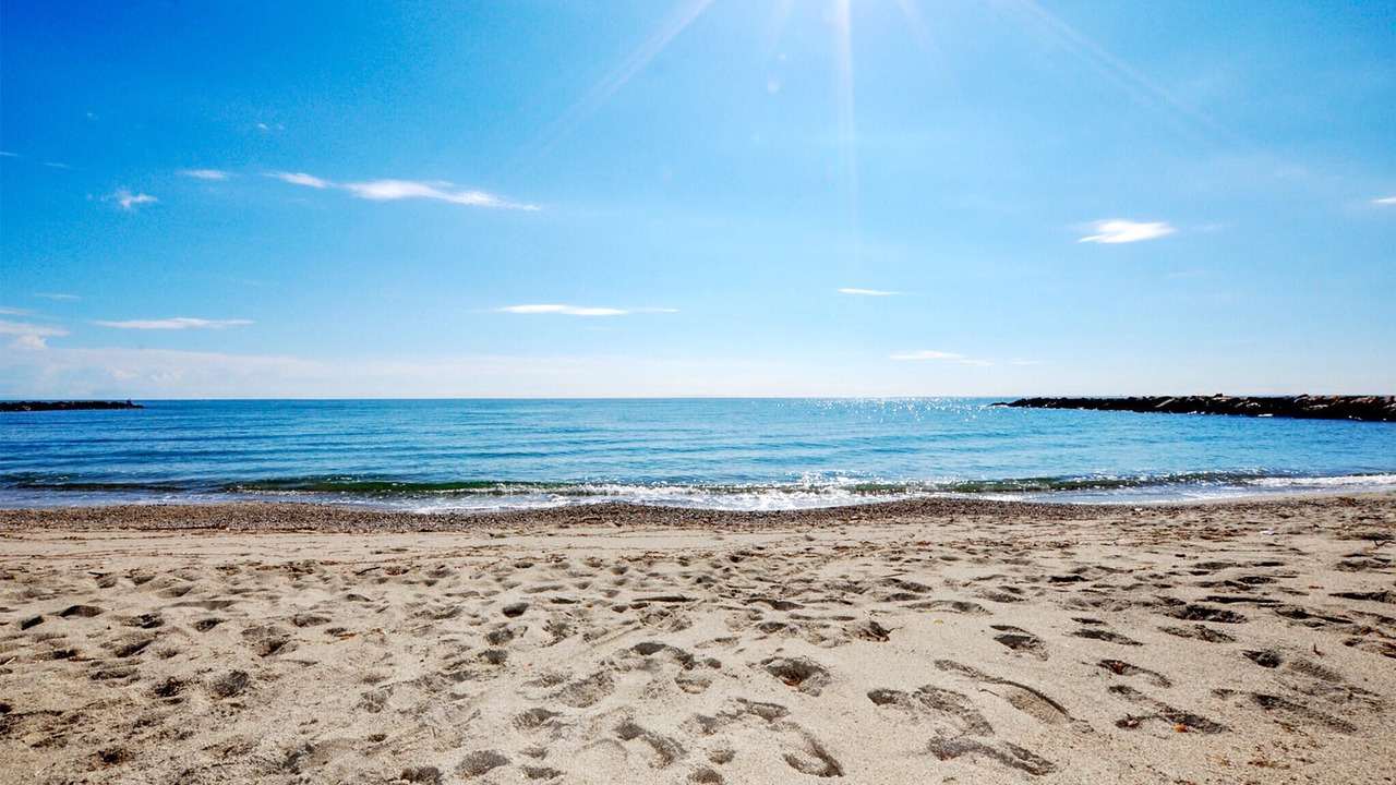 Photo of Others in Villelongue-de-la-Salanque