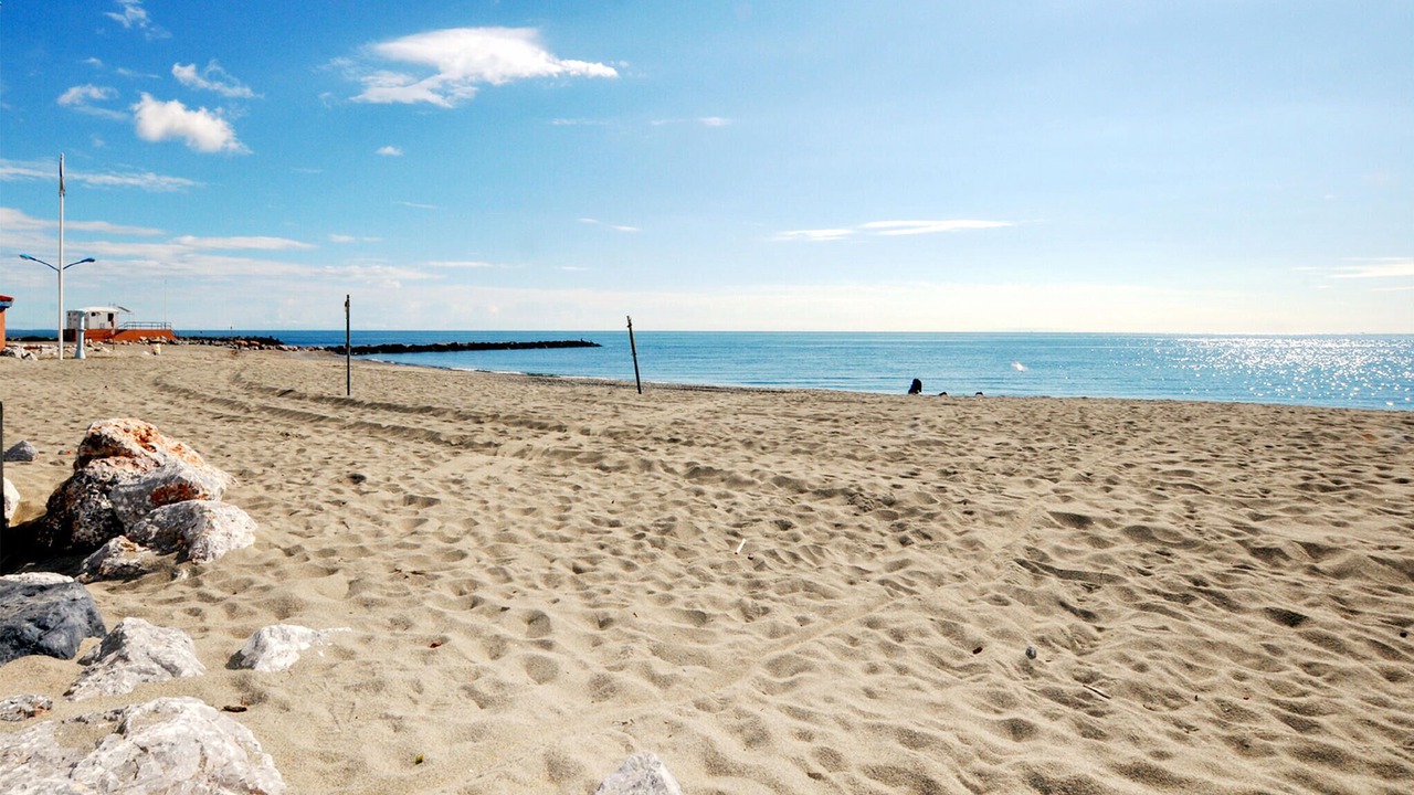 Photo of Others in Villelongue-de-la-Salanque