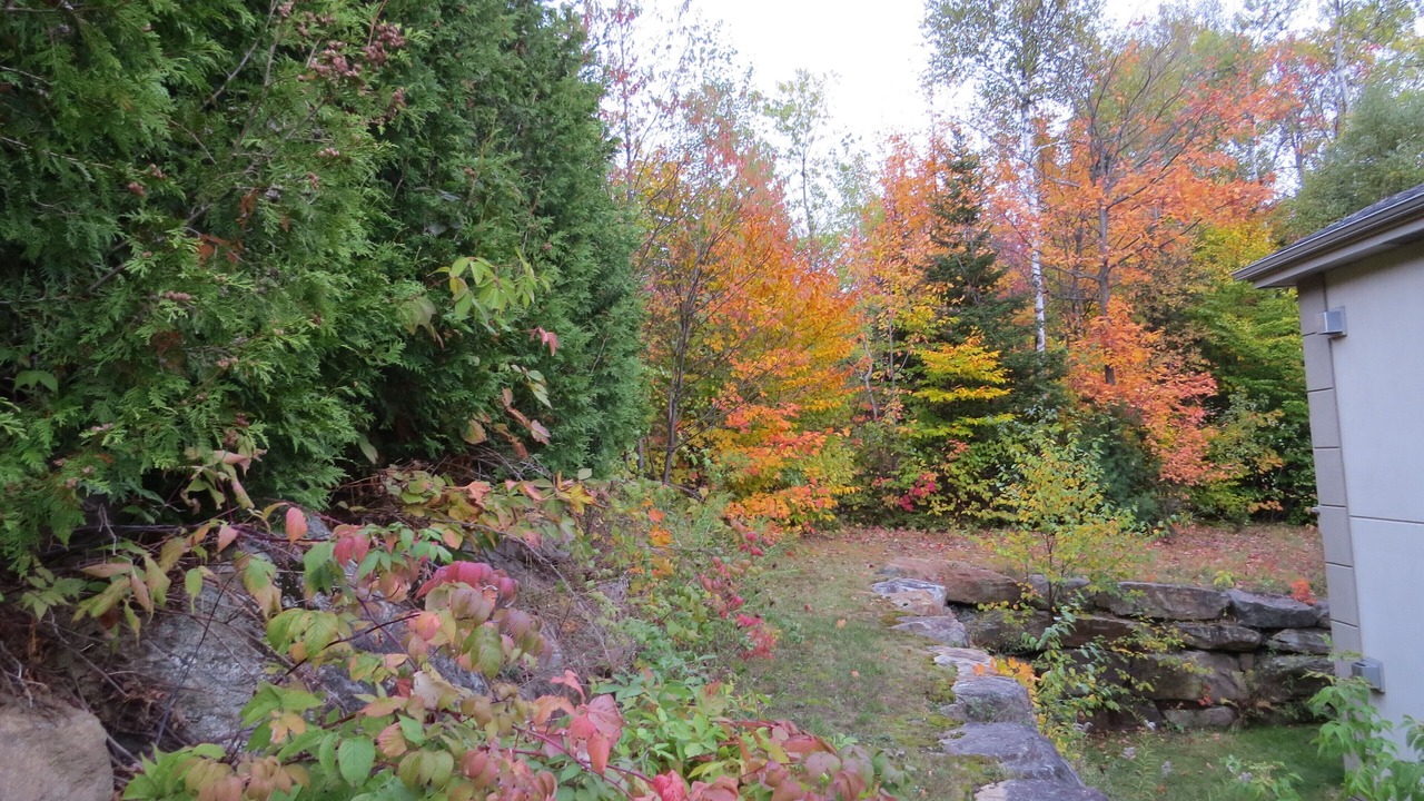 Photo of Outdoor in Piedmont