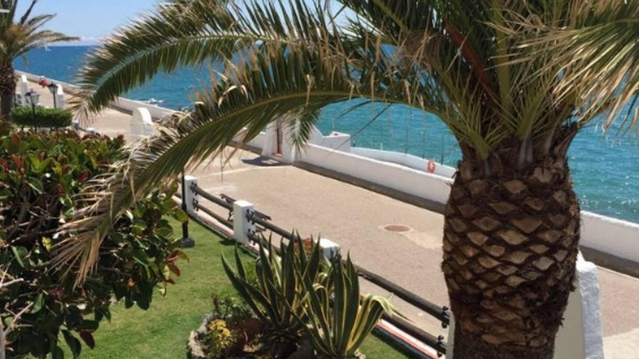 Photo of Outdoor in Vilanova I la Geltru