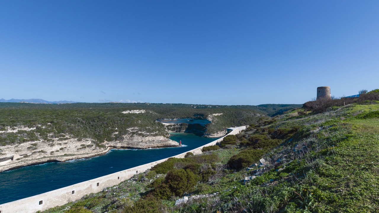 Photo of Others in Bonifacio