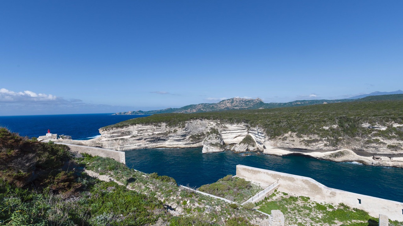 Photo of Others in Bonifacio