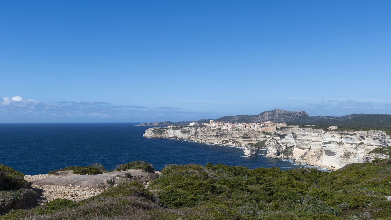 Photo of Others in Bonifacio