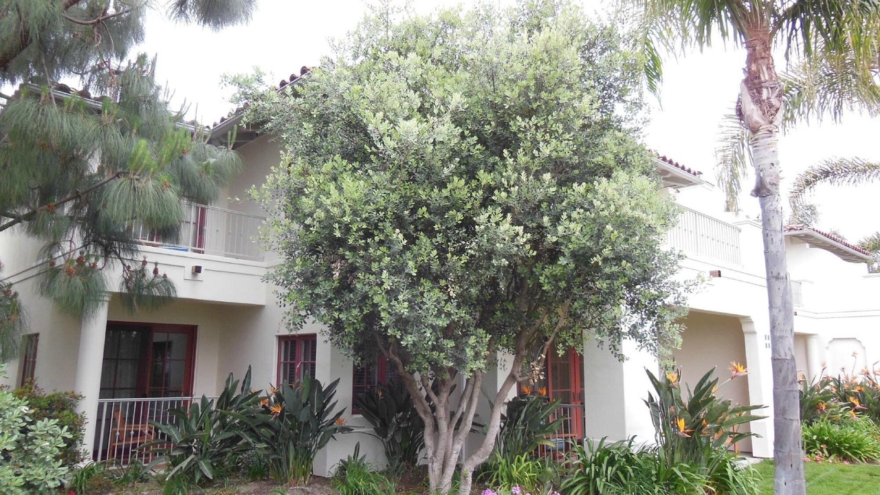 Photo of Outdoor in Aviara