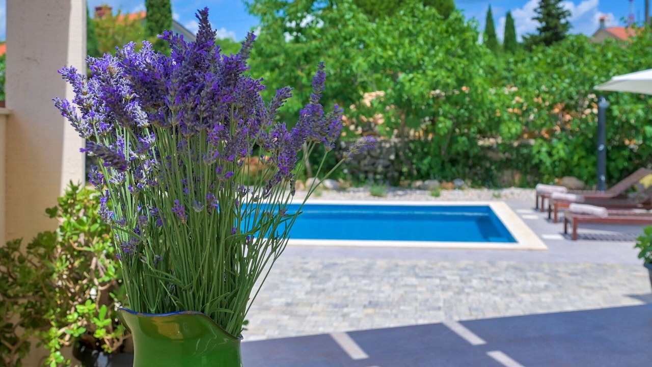 Photo of Outdoor in Kras