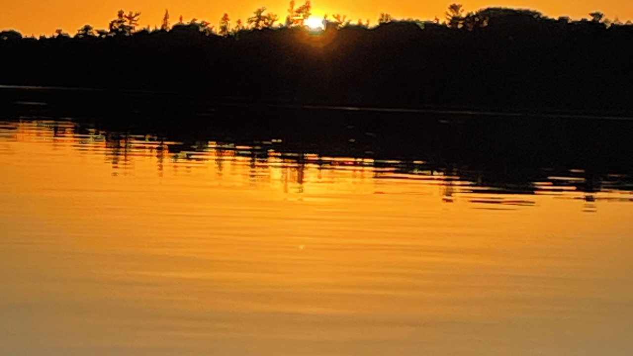 Photo of Others in Falcon Lake