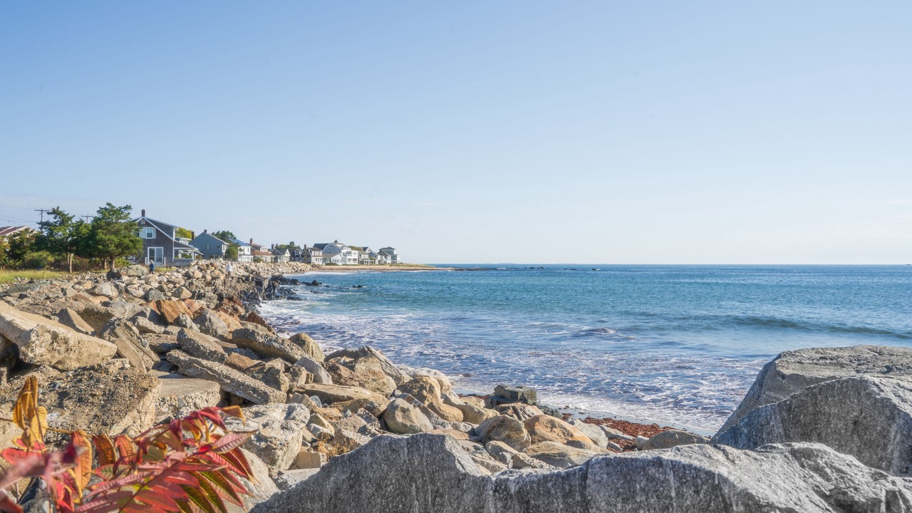 Photo of Others in Hampton