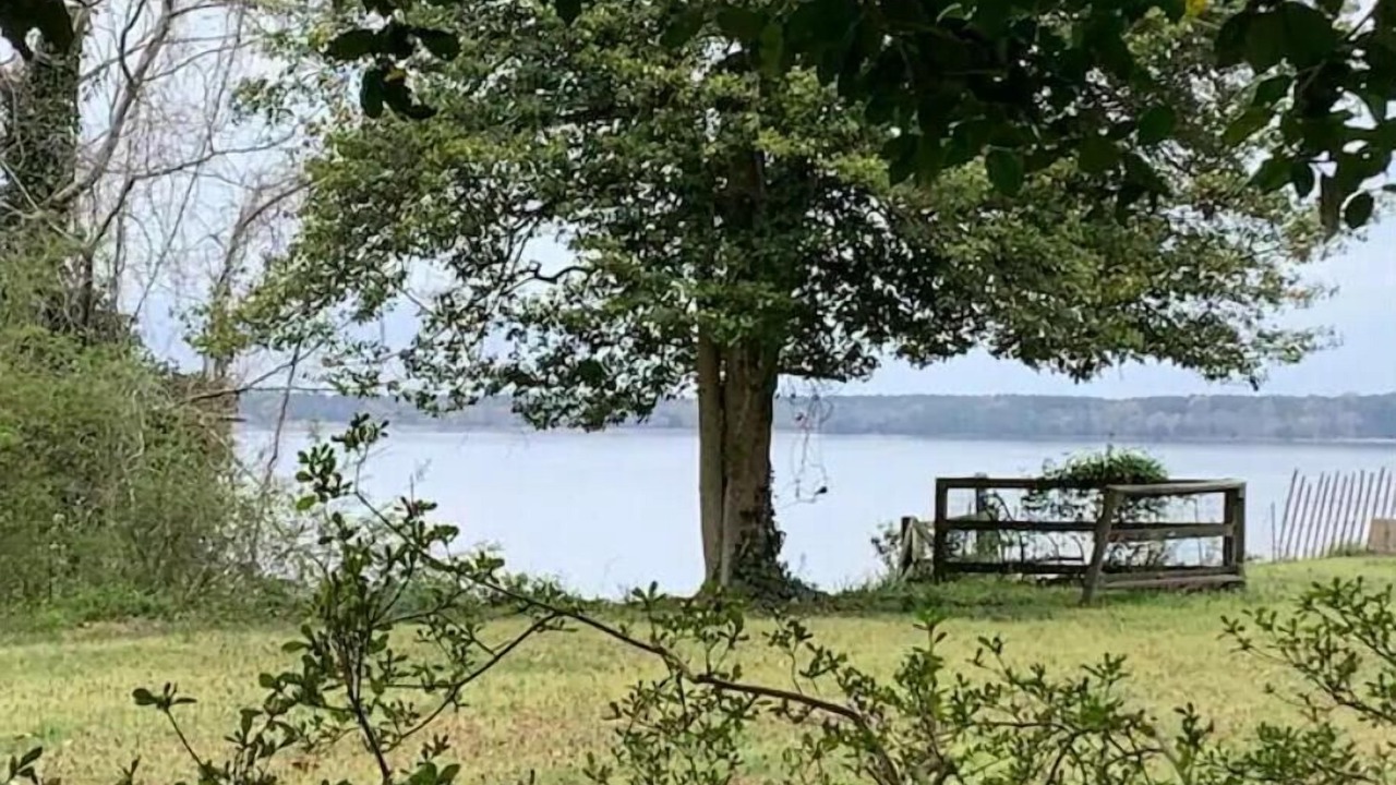 Photo of Outdoor in Surry