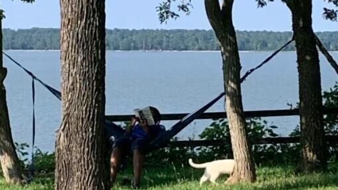 Photo of Outdoor in Surry