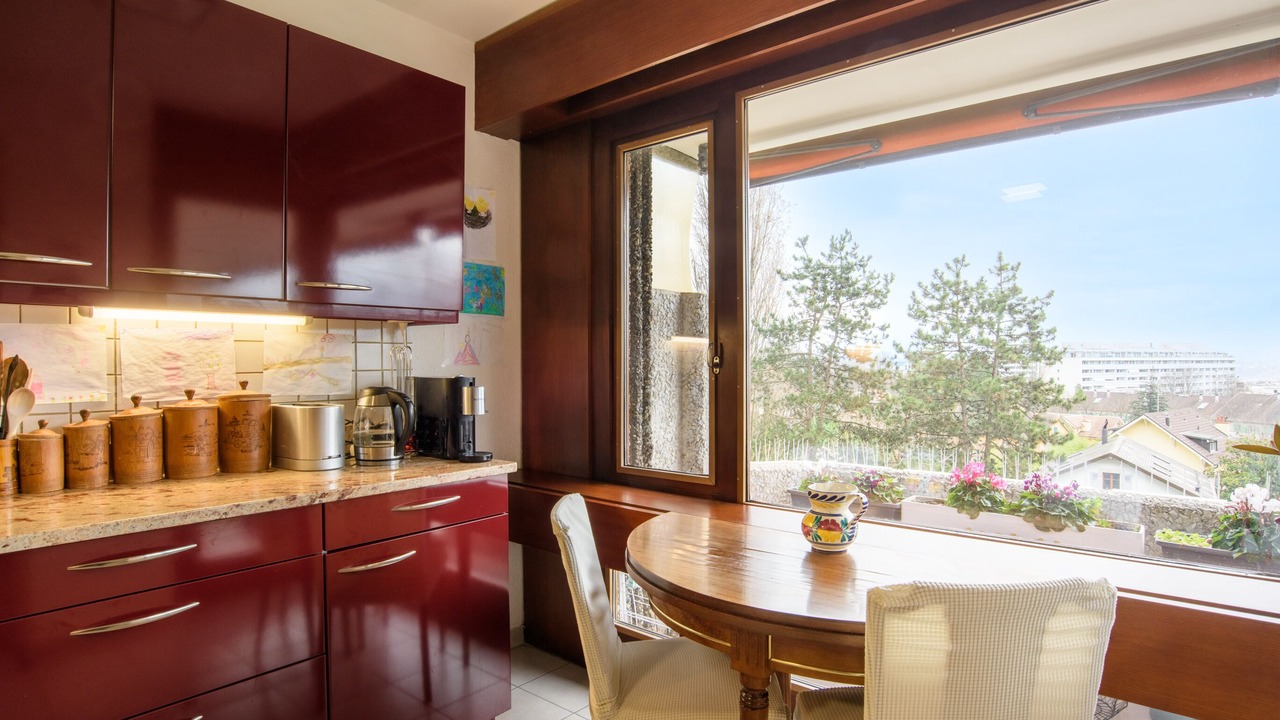 Photo of Kitchen in Petit-Saconnex / Servette