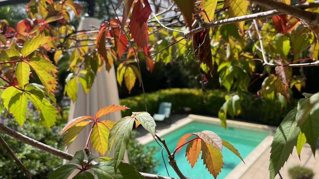 Photo of Outdoor in Pollestres