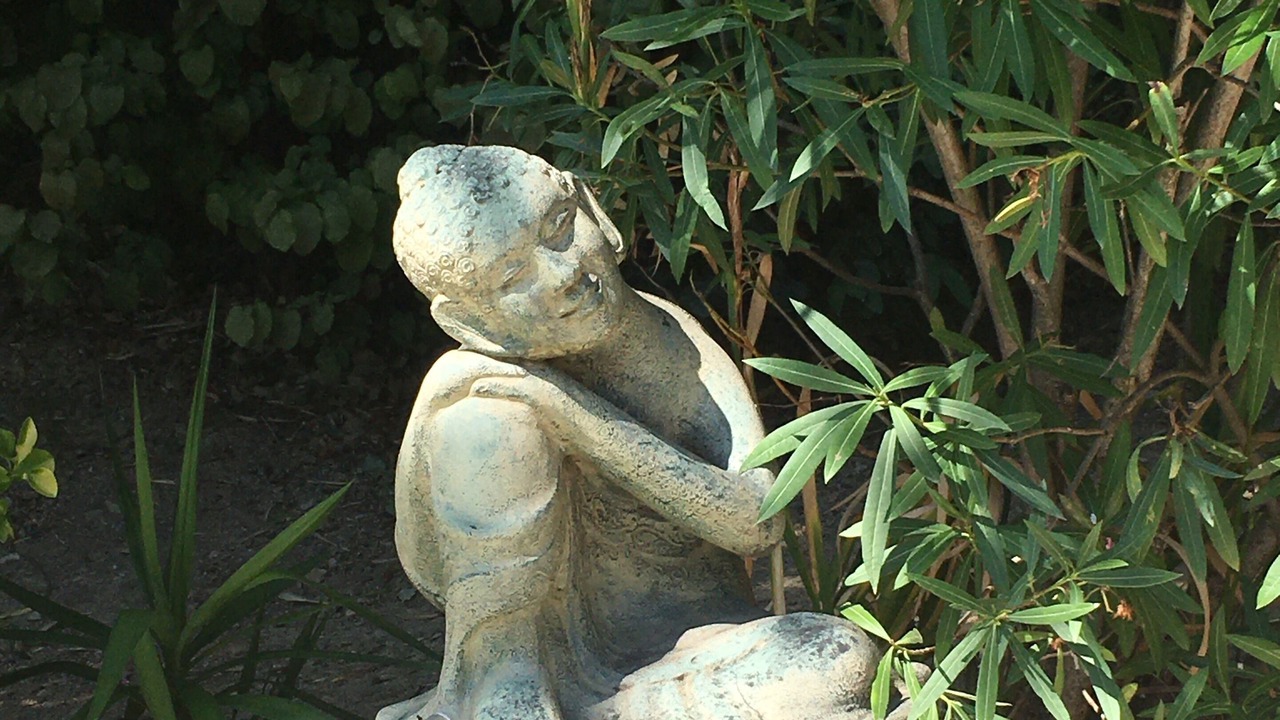 Photo of Outdoor in Pollestres