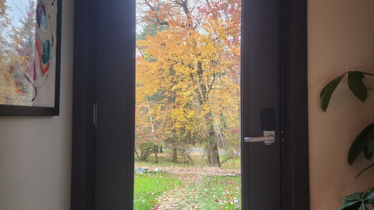 Photo of Others in Chatham