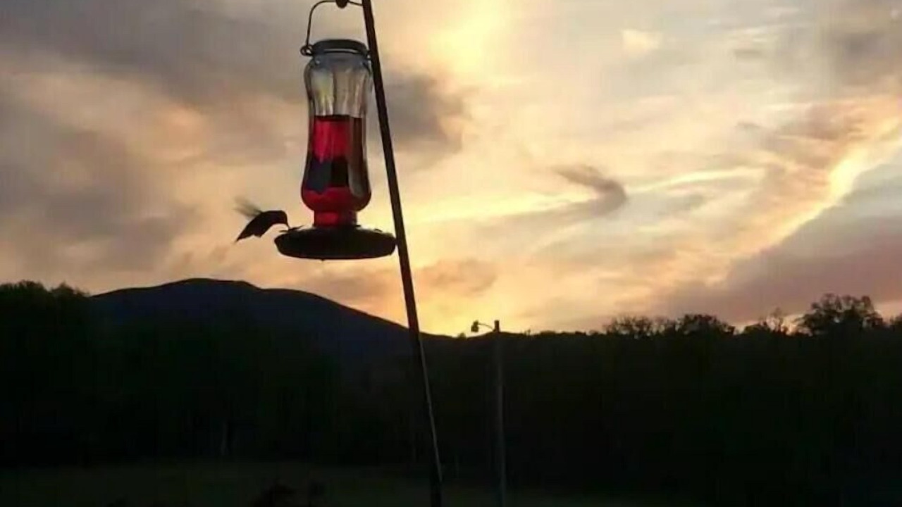 Photo of Others in Greenville Junction