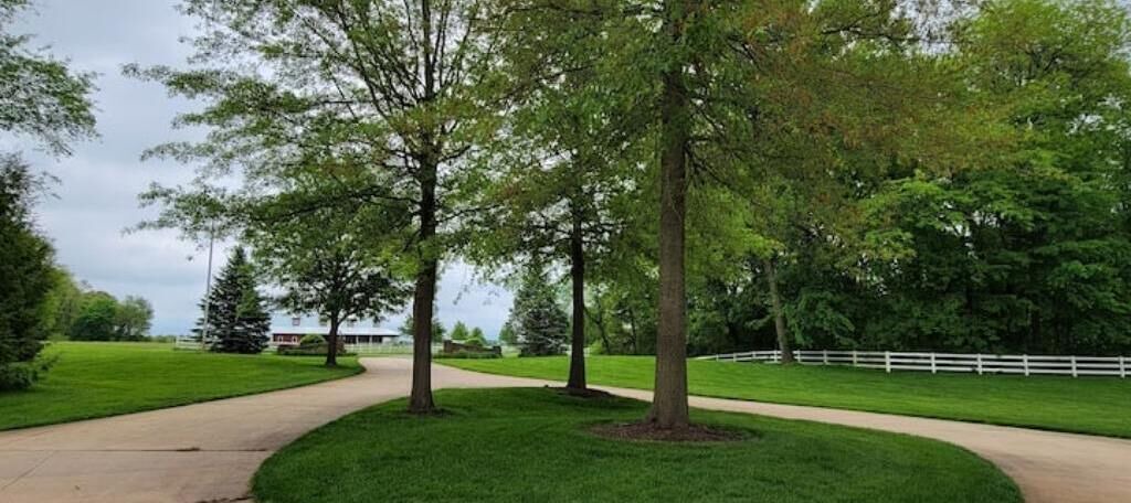 Photo of Outdoor in Lynn Center