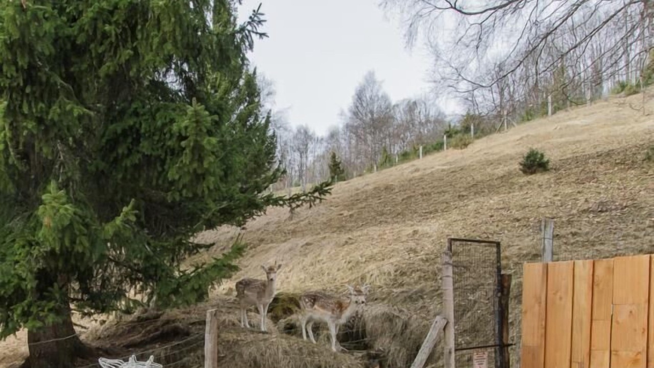 Photo of Outdoor in Les Deserts
