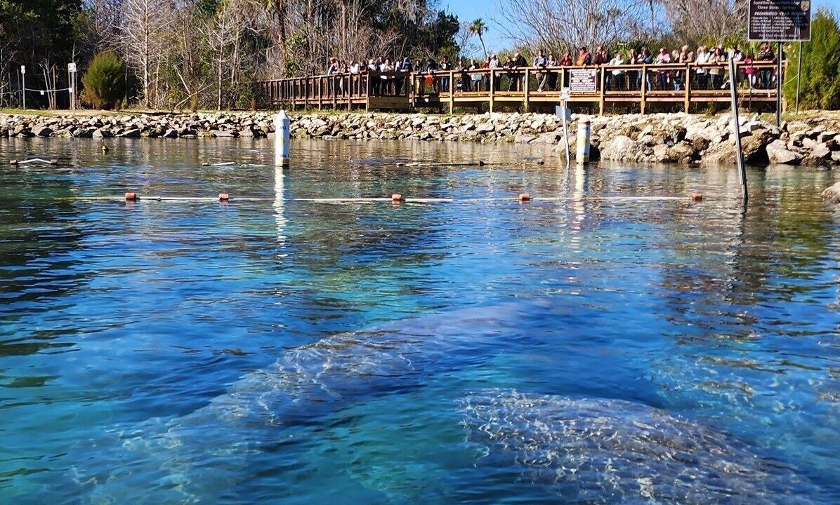 Photo of Others in Crystal River