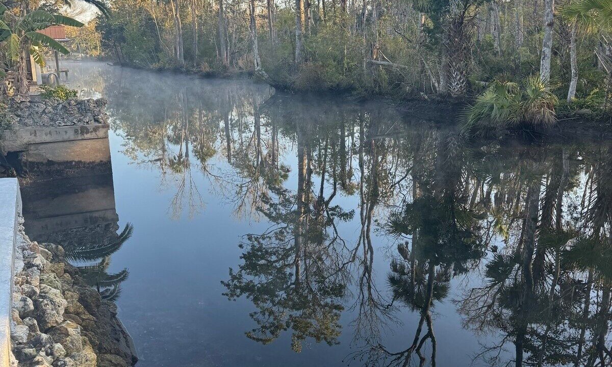 Photo of Others in Crystal River