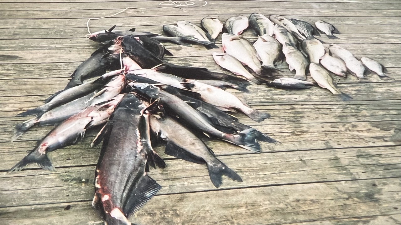 Photo of Others in Hemphill