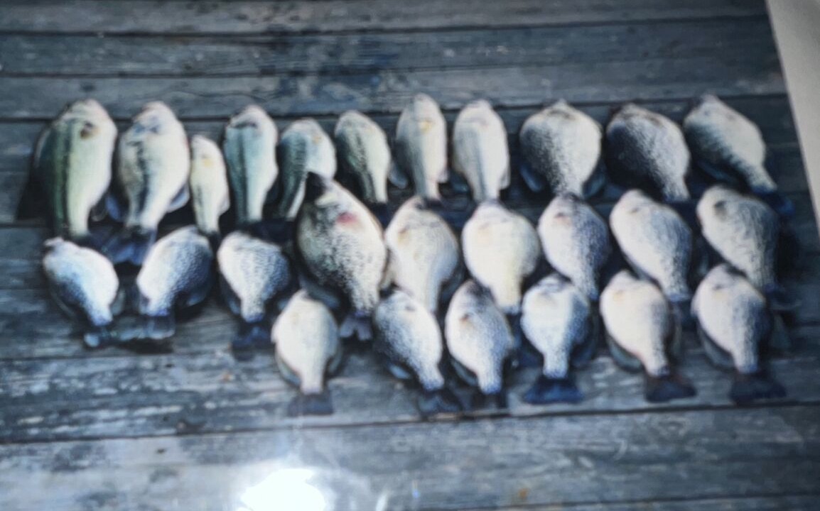 Photo of Others in Hemphill