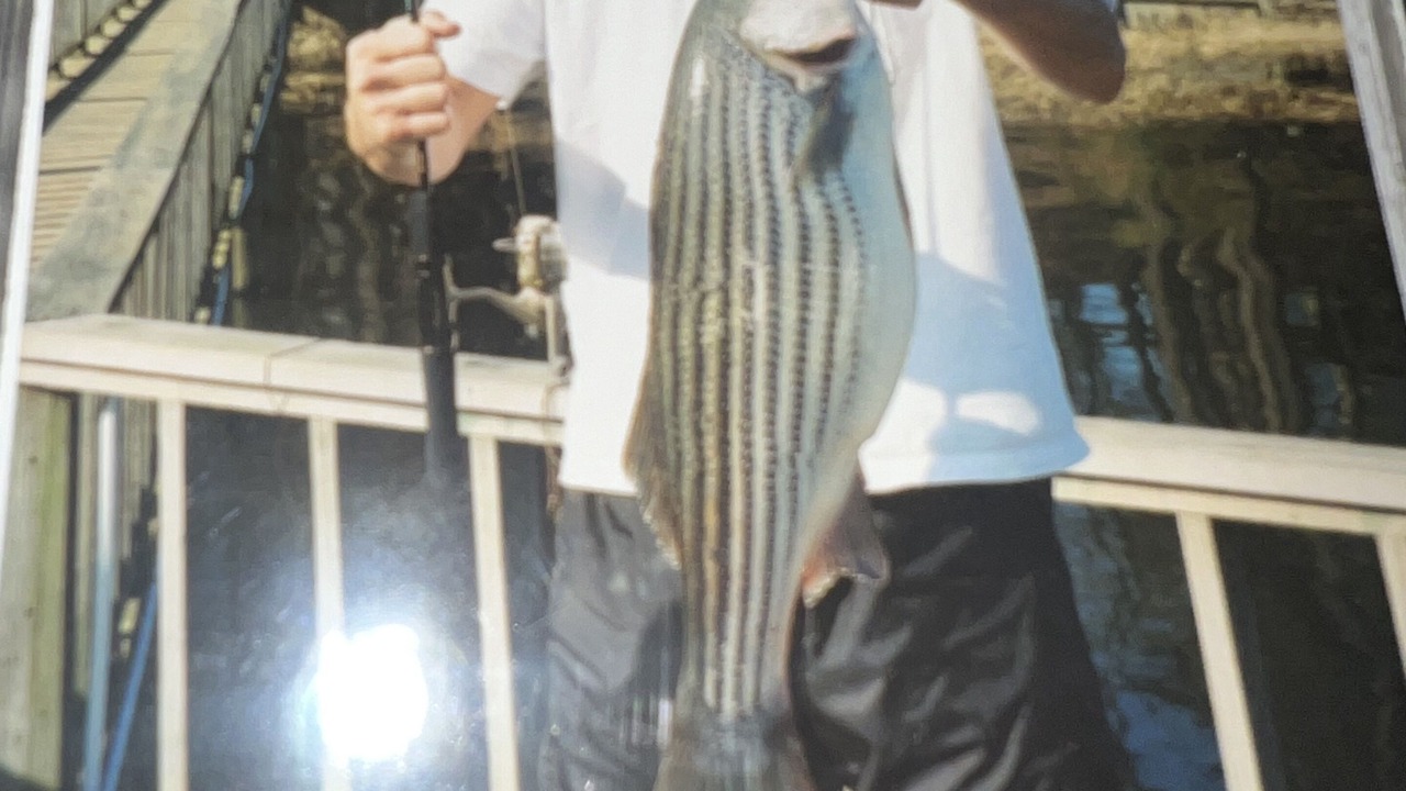 Photo of Others in Hemphill