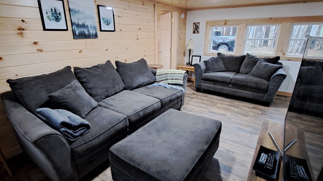 Photo of Livingroom in Town of Lyonsdale