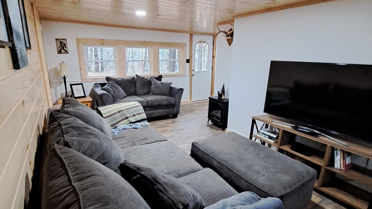 Photo of Livingroom in Town of Lyonsdale